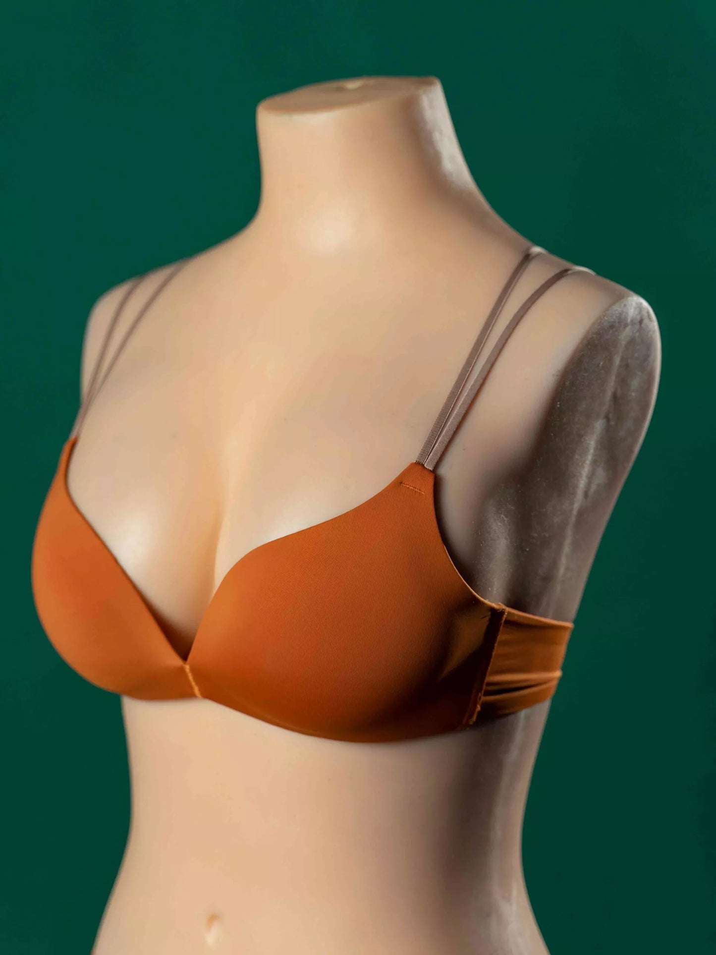 PALOMA