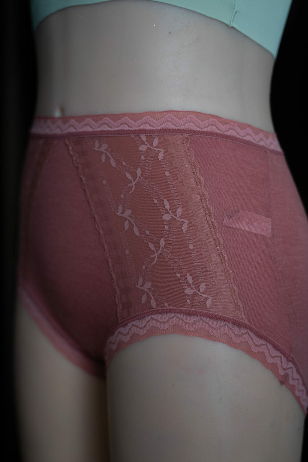 JAZLYN (Normal Size Panties)