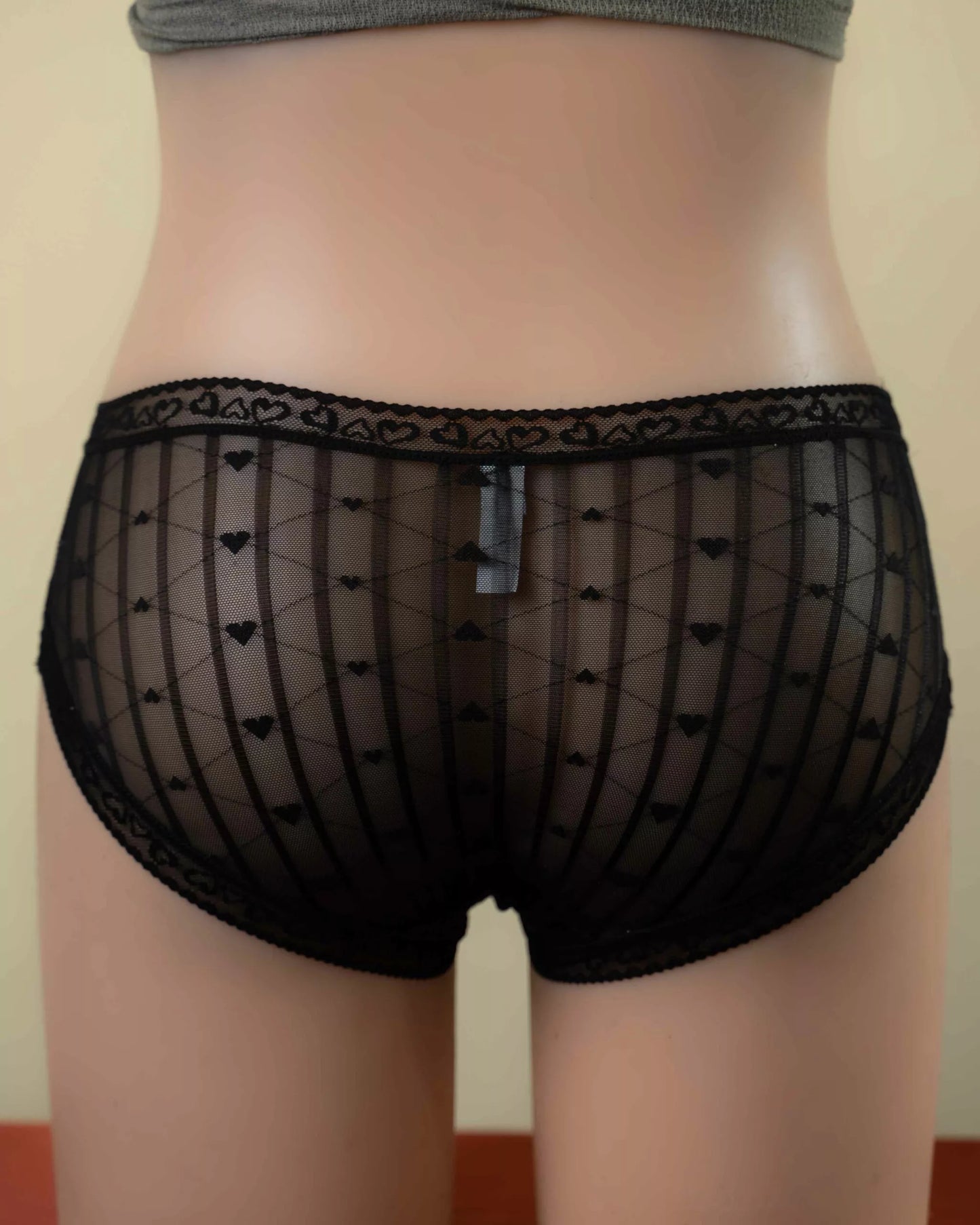 ARIA (Normal Size Panties)