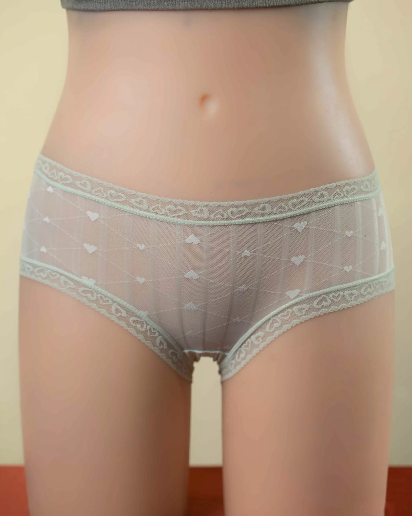 ARIA (Normal Size Panties)