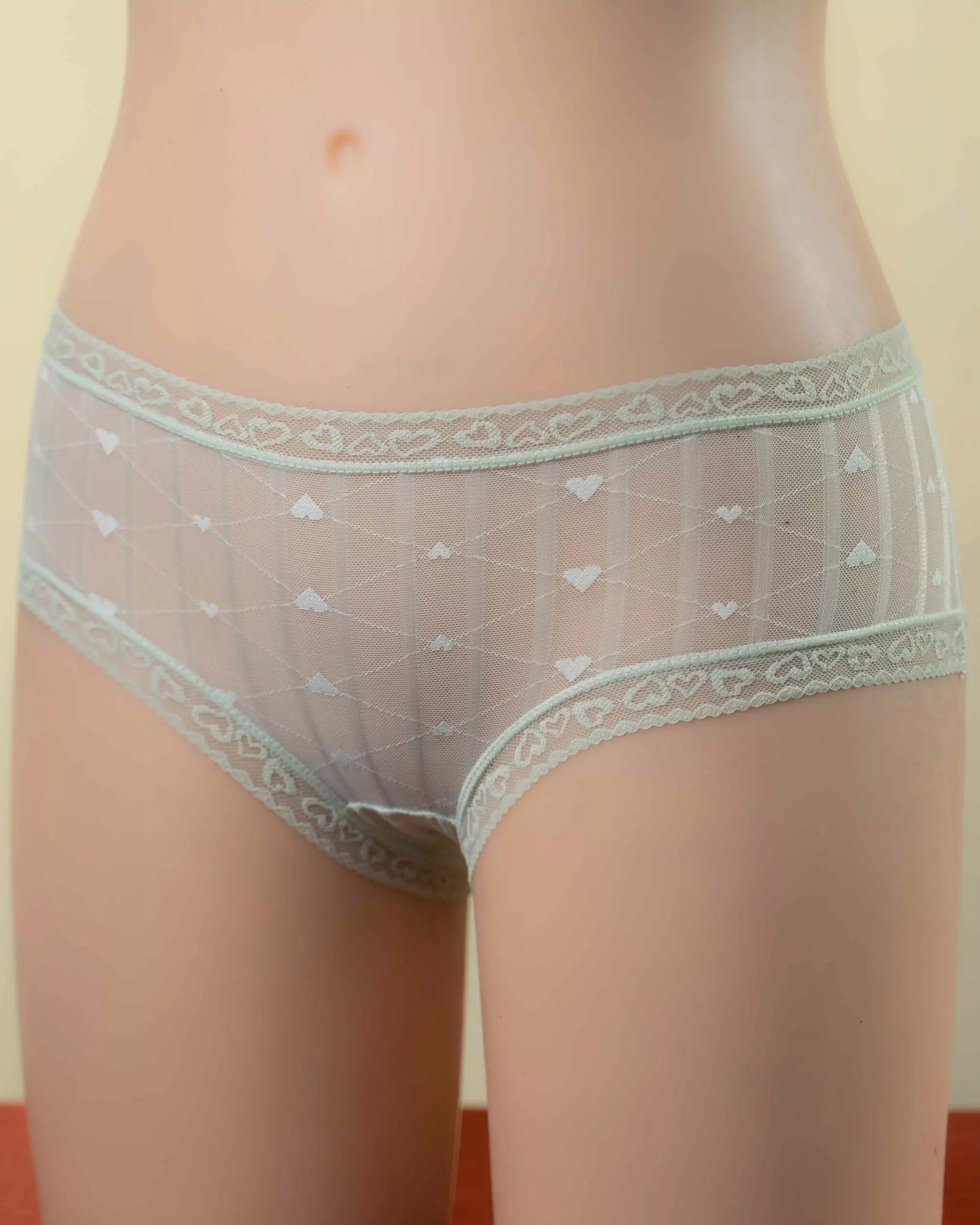 ARIA (Normal Size Panties)