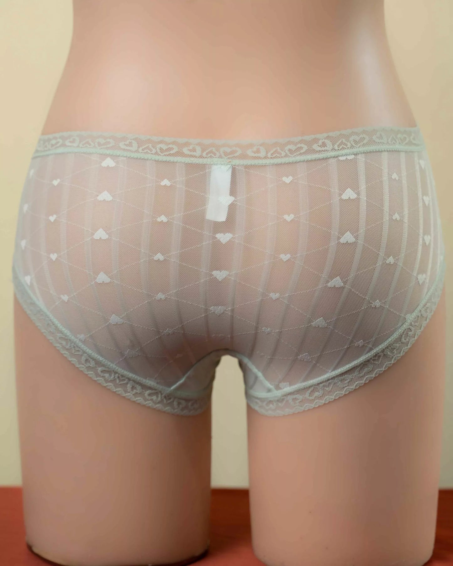 ARIA (Normal Size Panties)