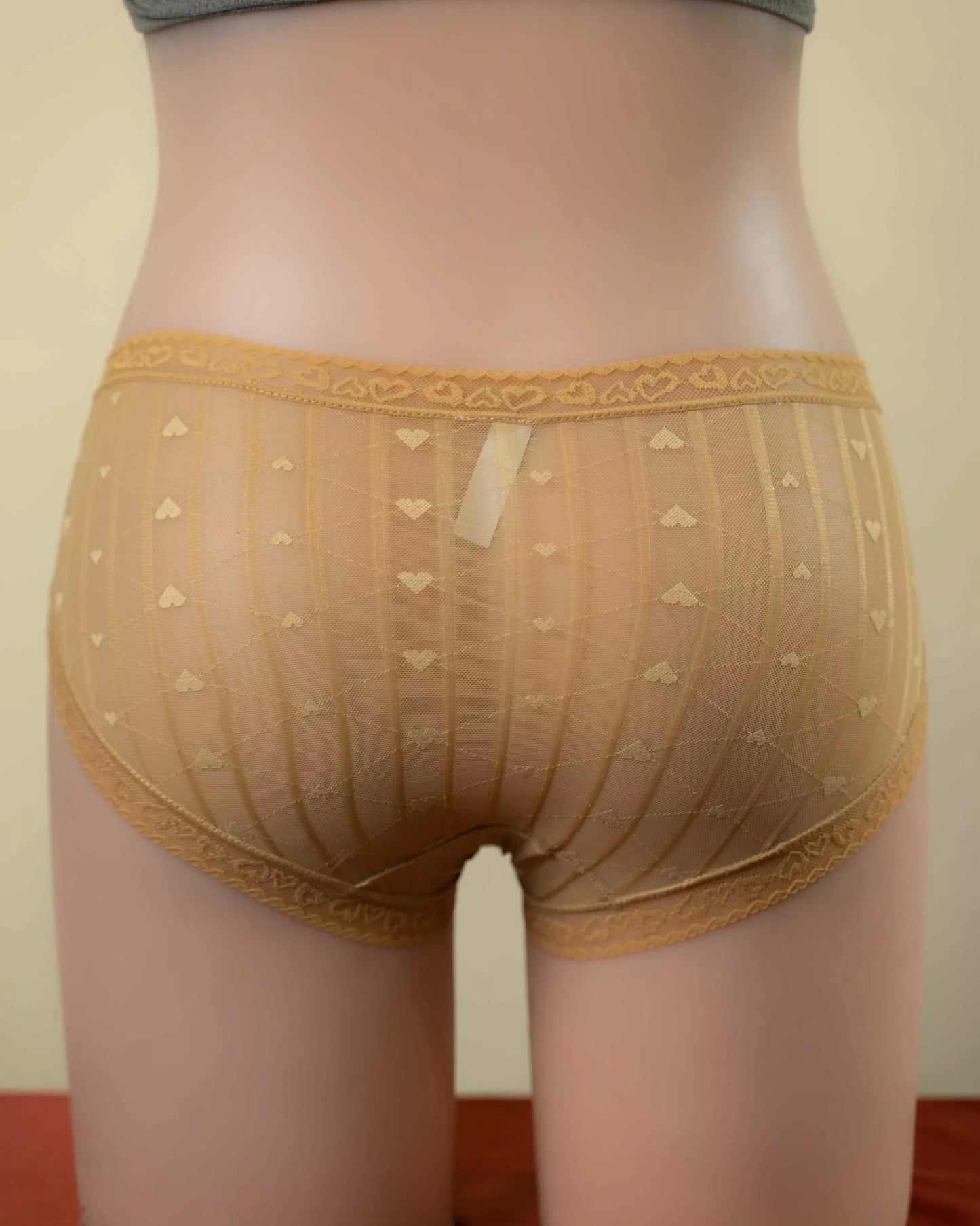 ARIA (Normal Size Panties)