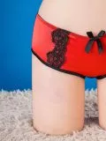 Alexandra Brief 1.004103-53