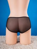 Alexandra Brief 2.001393-10