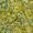 vintage-yellowish-green